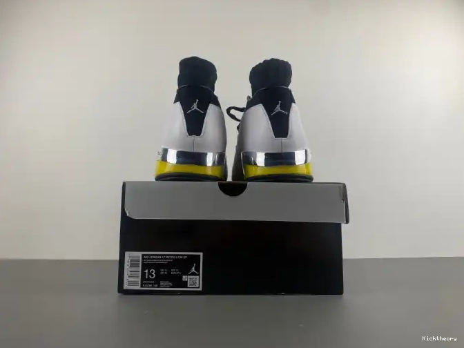 Kicktheory Lightning 17 Jordan Low FJ0395-100 Air 0621